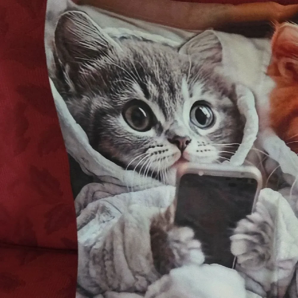 Cozy Cat Pillow Cover with Kittens in Robes